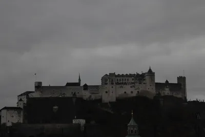 DSC_7034 (Large).JPG